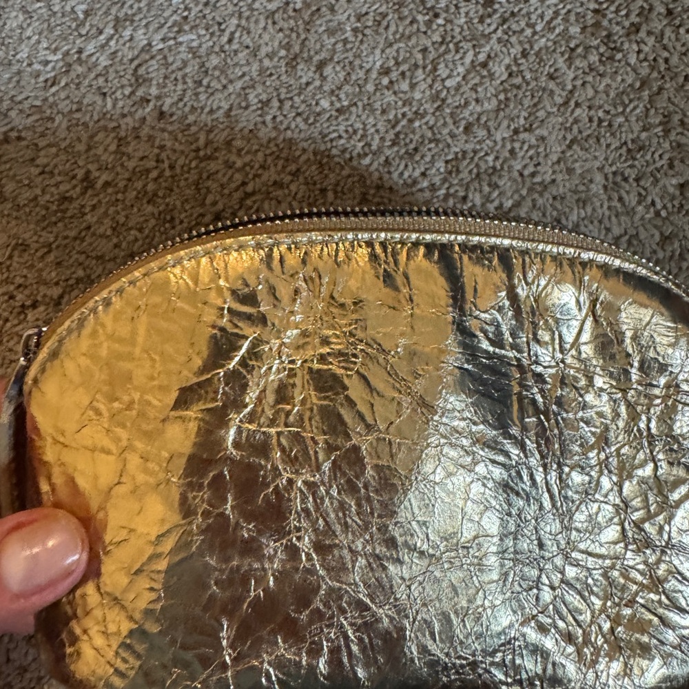 Madewell pouch